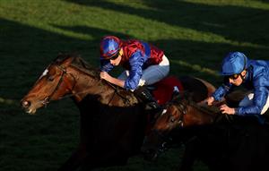LEXINGTON, KENTUCKY - NOVEMBER 04: Victoria Road with jockey Ryan Moore wins the Juvenile Turf during the 2022 Breeders Cup at Keeneland Race Course on November 04, 2022 in Lexington, Kentucky. (Photo by Andy Lyons/Getty Images)