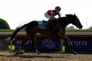 LEXINGTON, KENTUCKY - NOVEMBER 04: Jockey Tyler Gaffalione rides Wonder Wheel to win the NetJets Breeders