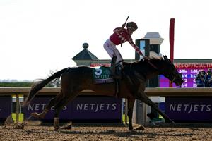 LEXINGTON, KENTUCKY - NOVEMBER 04: Jockey Tyler Gaffalione rides Wonder Wheel to win the NetJets Breeders