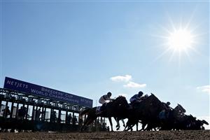 LEXINGTON, KENTUCKY - NOVEMBER 04: The field leaves the gate during the NetJets Breeders
