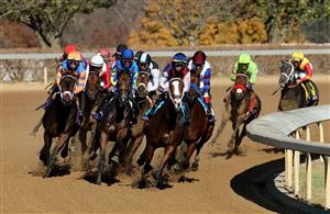 LEXINGTON, KENTUCKY - NOVEMBER 04: Horses run on turn two during the Breeders