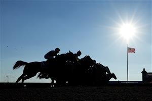 LEXINGTON, KENTUCKY - NOVEMBER 04: The field leaves the gate during the FanDuel Breeders