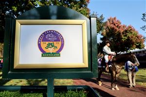 LEXINGTON, KENTUCKY - NOVEMBER 04: General view of the grounds during the 2022 Breeders Cup at Keeneland Race Course on November 04, 2022 in Lexington, Kentucky. (Photo by Andy Lyons/Getty Images)