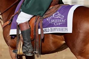 LEXINGTON, KENTUCKY - NOVEMBER 04: General views of the grounds during the 2022 Breeders Cup at Keeneland Race Course on November 04, 2022 in Lexington, Kentucky. (Photo by Andy Lyons/Getty Images)