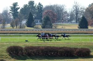 LEXINGTON, KENTUCKY - NOVEMBER 04: General views of the grounds during the 2022 Breeders Cup at Keeneland Race Course on November 04, 2022 in Lexington, Kentucky. (Photo by Andy Lyons/Getty Images)
