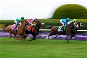 LEXINGTON, KENTUCKY - NOVEMBER 05: The field races down the front stretch during the FanDuel Breeders