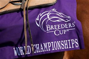 LEXINGTON, KENTUCKY - NOVEMBER 04: A detail view of the Breeders