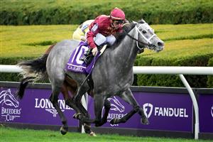 LEXINGTON, KENTUCKY - NOVEMBER 05: Jockey Tyler Gaffalione rides Caravel to win the Breeders