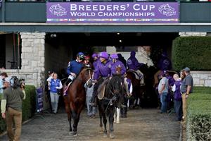 LEXINGTON, KENTUCKY - NOVEMBER 05: The field makes their way through the tunnel to the course before the Breeders