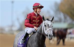 LEXINGTON, KENTUCKY - NOVEMBER 05: Jockey Tyler Gaffalione celebrates after riding Caravel to win the Breeders