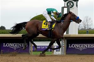 LEXINGTON, KENTUCKY - NOVEMBER 05: Jockey Flavien Prat rides Flightline to win the Longines Breeders