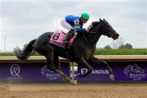 LEXINGTON, KENTUCKY - NOVEMBER 05: Jockey Irad Ortiz Jr. rides Goodnight Olive to win the Breeders