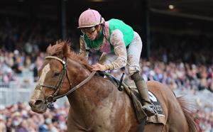 LEXINGTON, KENTUCKY - NOVEMBER 05: Jockey Irad Ortiz Jr. rides Elite Power to win the Qatar Racing Breeders