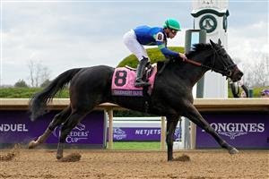 LEXINGTON, KENTUCKY - NOVEMBER 05: Jockey Irad Ortiz Jr. rides Goodnight Olive to win the Breeders