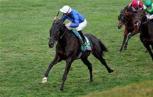 LEXINGTON, KENTUCKY - NOVEMBER 05: Jockey James Doyle rides Rebel