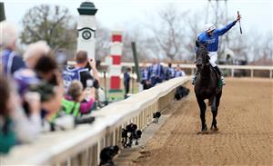 LEXINGTON, KENTUCKY - NOVEMBER 05: Jockey James Doyle celebrates after riding Rebel