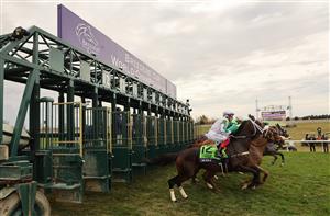 LEXINGTON, KENTUCKY - NOVEMBER 05: The field leaves the gate during the Maker