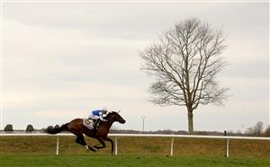 LEXINGTON, KENTUCKY - NOVEMBER 05: Jockey Francisco Arrieta rides Front Run the Fed during the FanDuel Breeders