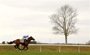 LEXINGTON, KENTUCKY - NOVEMBER 05: Jockey Francisco Arrieta rides Front Run the Fed during the FanDuel Breeders