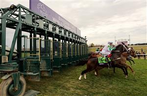 LEXINGTON, KENTUCKY - NOVEMBER 05: The field leaves the gate during the Maker