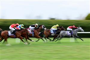LEXINGTON, KENTUCKY - NOVEMBER 05: The field races down the track during the Breeders