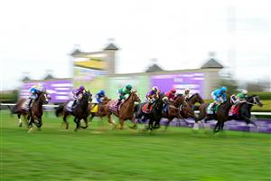 LEXINGTON, KENTUCKY - NOVEMBER 05: The field races down the front stretch during the FanDuel Breeders