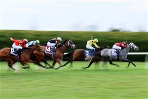 LEXINGTON, KENTUCKY - NOVEMBER 05: The field races down the track during the Breeders