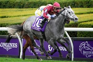 LEXINGTON, KENTUCKY - NOVEMBER 05: Jockey Tyler Gaffalione rides Caravel to win the Breeders