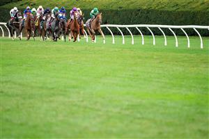 LEXINGTON, KENTUCKY - NOVEMBER 05: The field races down the front stretch during the Maker