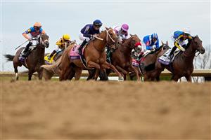 LEXINGTON, KENTUCKY - NOVEMBER 05: The field races down the front stretch during the Longines Breeders