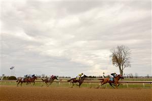 LEXINGTON, KENTUCKY - NOVEMBER 05: The field races down the course during the Breeders