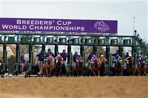 LEXINGTON, KENTUCKY - NOVEMBER 05: The field leaves the gate during the Longines Breeders