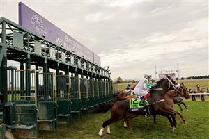LEXINGTON, KENTUCKY - NOVEMBER 05: The field leaves the gate during the Maker