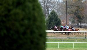 LEXINGTON, KENTUCKY - NOVEMBER 05: The field races down the back stretch during the Qatar Racing Breeders
