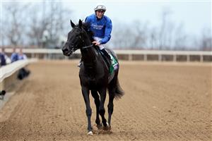 LEXINGTON, KENTUCKY - NOVEMBER 05: Jockey William Buick celebrates after riding Modern Games to win the FanDuel Breeders
