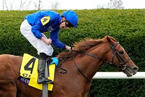 LEXINGTON, KENTUCKY - NOVEMBER 05: Jockey William Buick rides Modern Games to win the FanDuel Breeders