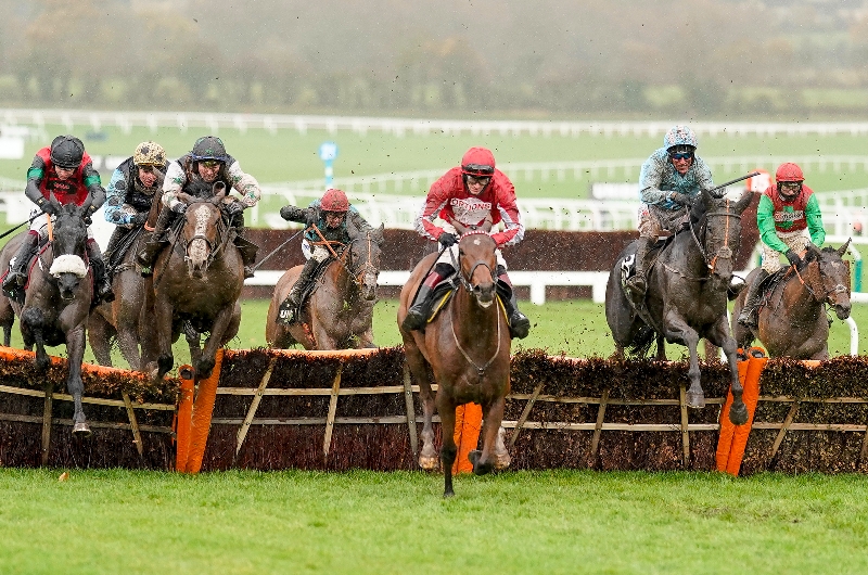 cheltenham november