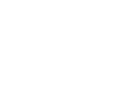 WNBA