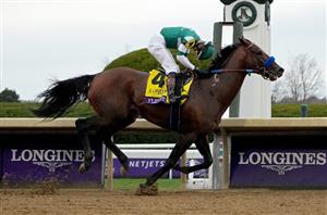 Flightline retired following Breeders' Cup Classic romp