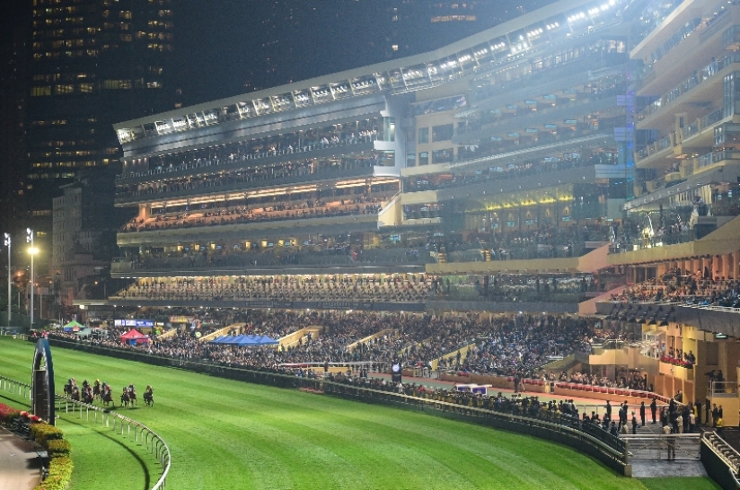 Happy Valley Racing Tips, Best Bets & Odds Today's Betting Tips for