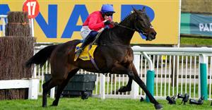 "Unfortunately, he won’t make Cheltenham" - Allaho ruled out of Ryanair defense