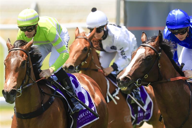 NEWCASTLE, AUSTRALIA - NOVEMBER 12: Jay Ford (lime colours) on Fire Lane wins race 1 the Nzb Airfreight Max Lees Classic during Racing at Newcastle Racecourse on November 12, 2022 in Newcastle, Australia. (Photo by Mark Evans/Getty Images)