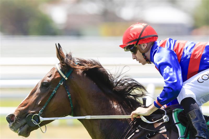 NEWCASTLE, AUSTRALIA - NOVEMBER 12: Jason Collett on Knife's Edge wins race 2, the TAB Highway Handicap during Racing at Newcastle Racecourse on November 12, 2022 in Newcastle, Australia. (Getty)