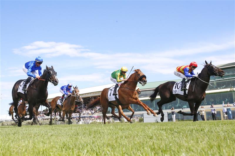 NEWCASTLE, AUSTRALIA - NOVEMBER 12: Tyler Schiller on Rondino wins race 6 the Alf Kneebone Trans-Tasman Trophy Benchmark 88 Handicap during Sydney Racing at  on November 12, 2022 in Newcastle, Australia. (Photo by Mark Evans/Getty Images)