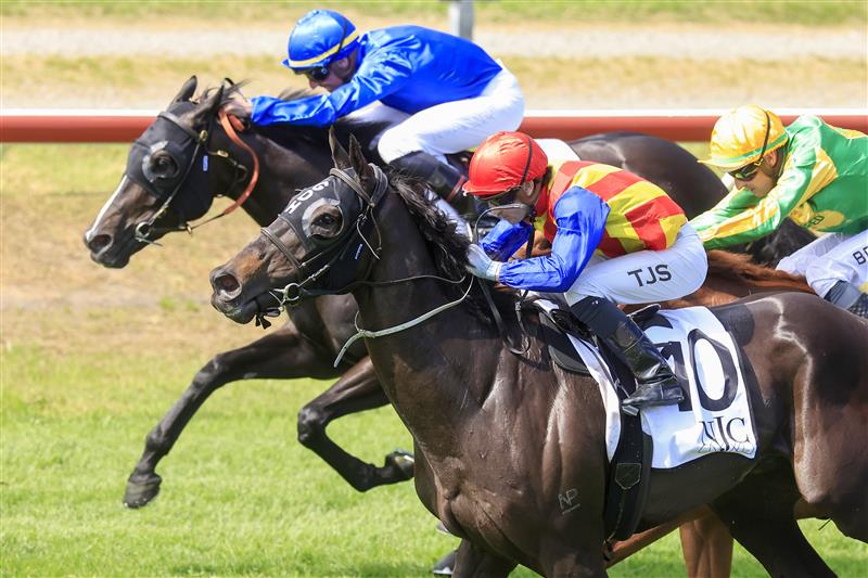 NEWCASTLE, AUSTRALIA - NOVEMBER 12: Tyler Schiller (red cap) on Rondino wins race 6 the Alf Kneebone Trans-tasman Trophy during Racing at Newcastle Racecourse on November 12, 2022 in Newcastle, Australia. (Photo by Mark Evans/Getty Images)