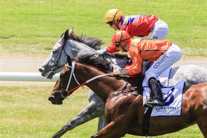 NEWCASTLE, AUSTRALIA - NOVEMBER 12: Jason Collett (orange) on Ten Bells wins race 3 the Doubletree By Hilton Karaka F&m Bm78 during Racing at Newcastle Racecourse on November 12, 2022 in Newcastle, Australia. (Photo by Mark Evans/Getty Images)