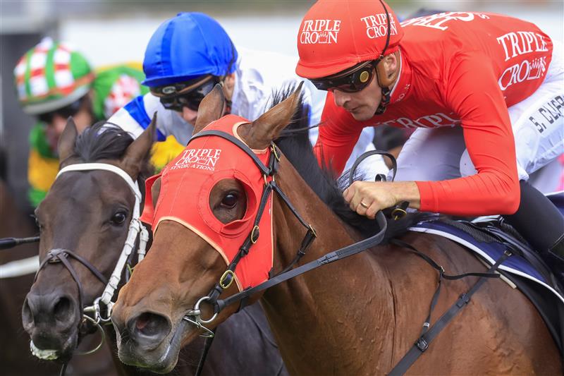 NEWCASTLE, AUSTRALIA - NOVEMBER 12: Sam Clipperton (red) on Pierossa wins race 7 New Zealand Bloodstock Njc Spring Stakes during Racing at Newcastle Racecourse on November 12, 2022 in Newcastle, Australia. (Photo by Mark Evans/Getty Images)