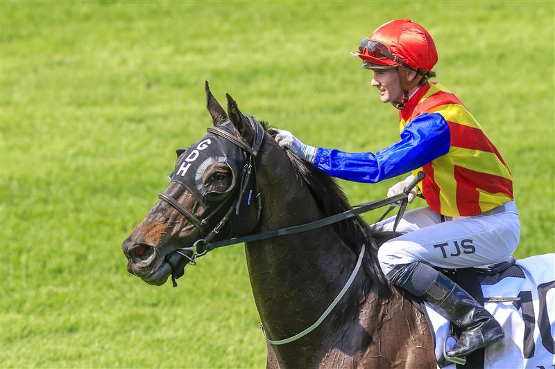 NEWCASTLE, AUSTRALIA - NOVEMBER 12: Tyler Schiller on Rondino returns to scale after winning race 6 the Alf Kneebone Trans-tasman Trophy during Racing at Newcastle Racecourse on November 12, 2022 in Newcastle, Australia. (Photo by Mark Evans/Getty Images)
