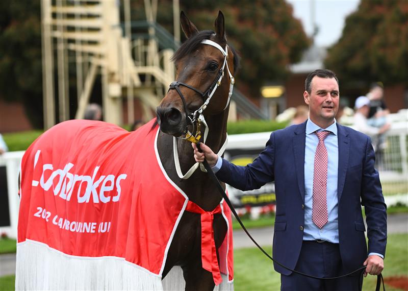 CRANBOURNE, AUSTRALIA - NOVEMBER 12: Uncle Bryn after winning Race 7, the Ladbrokes Cranbourne Cup, during Melbourne Racing on Cranbourne Cup Day at Cranbourne Racecourse on November 12, 2022 in Cranbourne, Australia. (Photo by Vince Caligiuri/Getty Images)