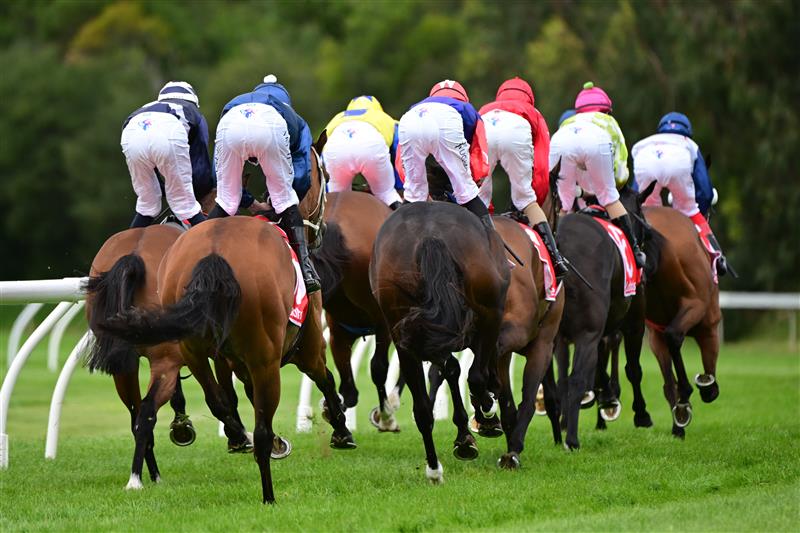 CRANBOURNE, AUSTRALIA - NOVEMBER 12: Jockey's rounding the turn during Melbourne Racing on Cranbourne Cup Day at Cranbourne Racecourse on November 12, 2022 in Cranbourne, Australia. (Getty)
